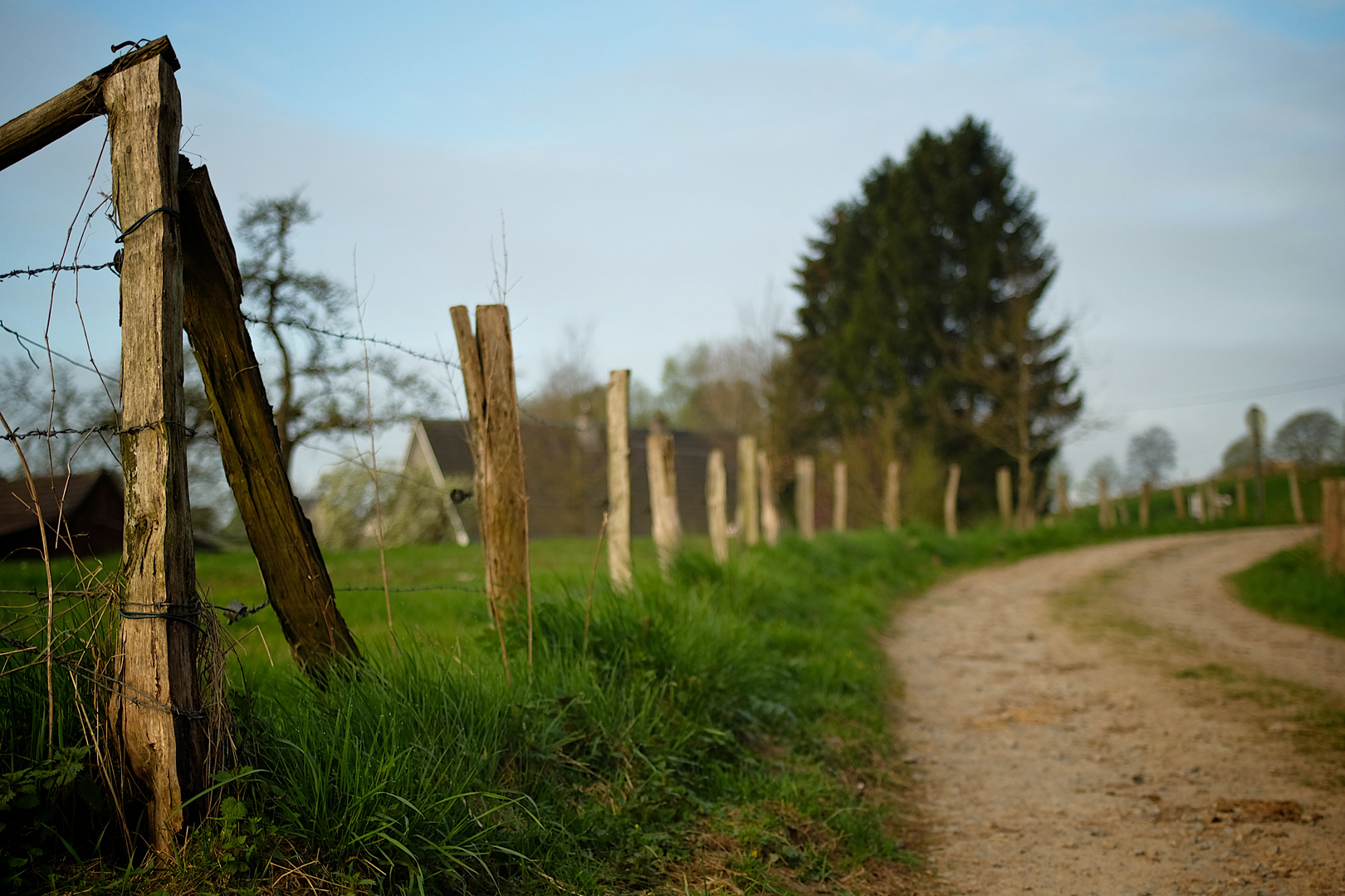 Way through the woods