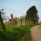 Way through the woods