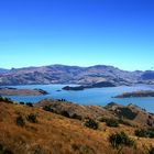 Way to Akaroa Neuseeland