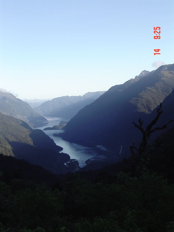 Way to Doubtful Sound in the morning