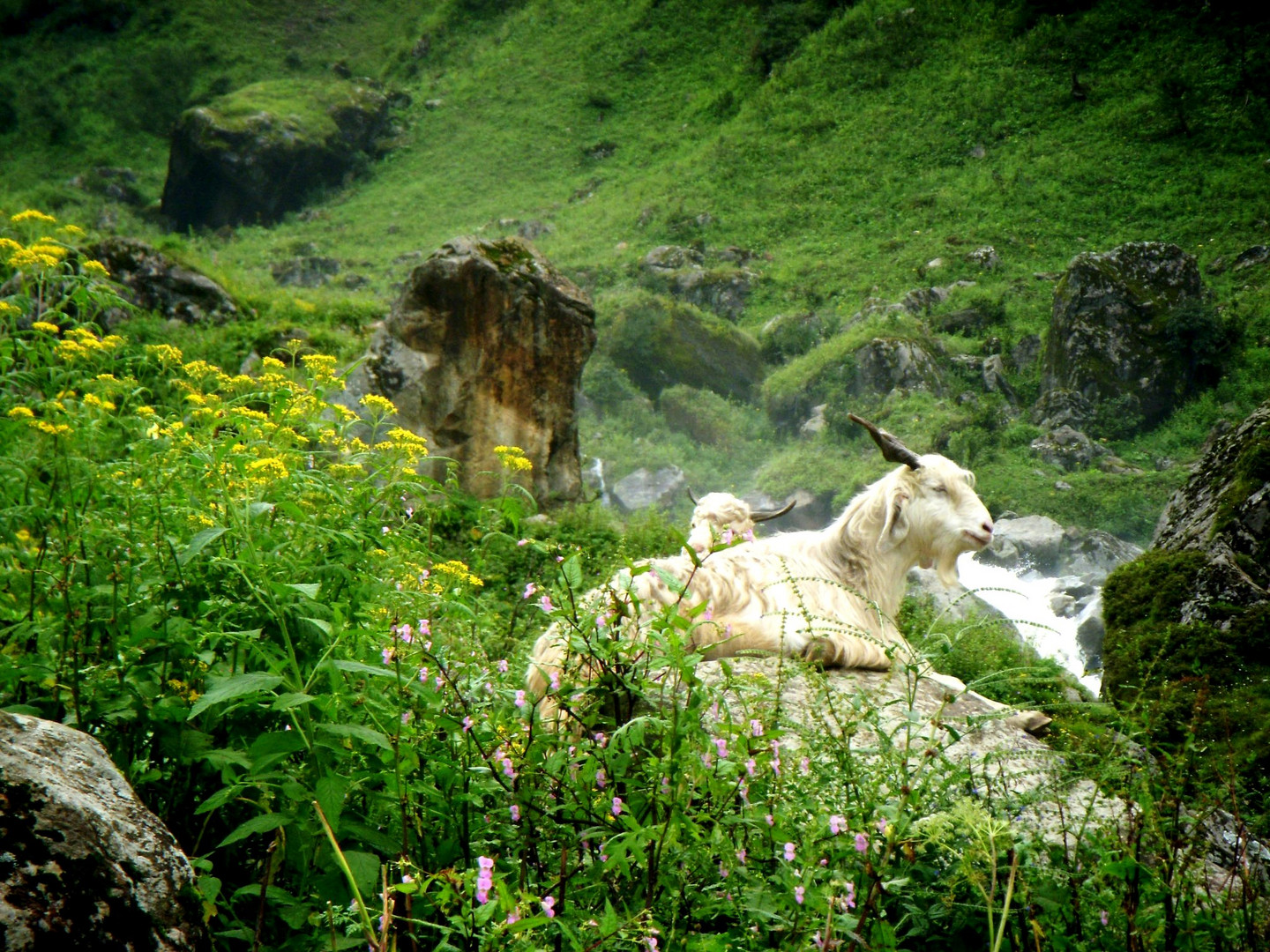 way to KEDERNATH.........different trek road....