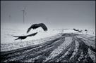 way to nowhere II von Christian Lehner