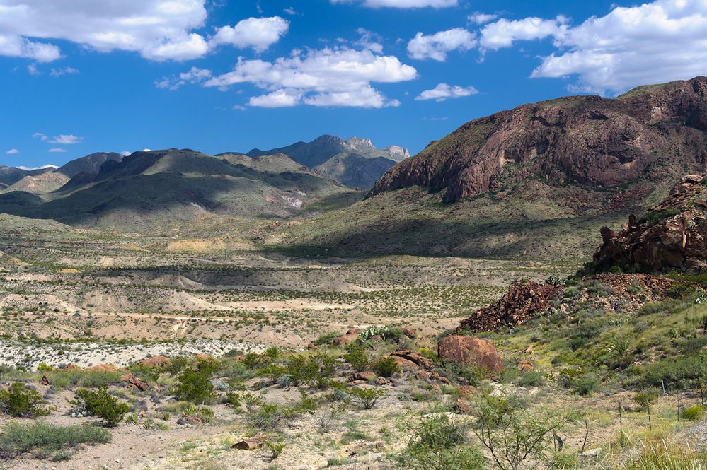 Way to Terlingua