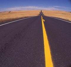 Way to the cornfields