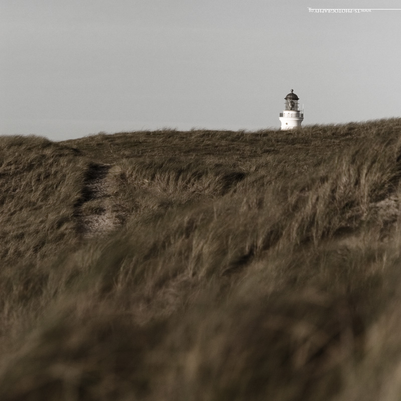 ''' way to the lighthouse