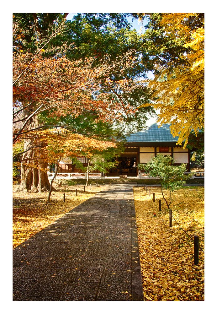 Way to the main hall