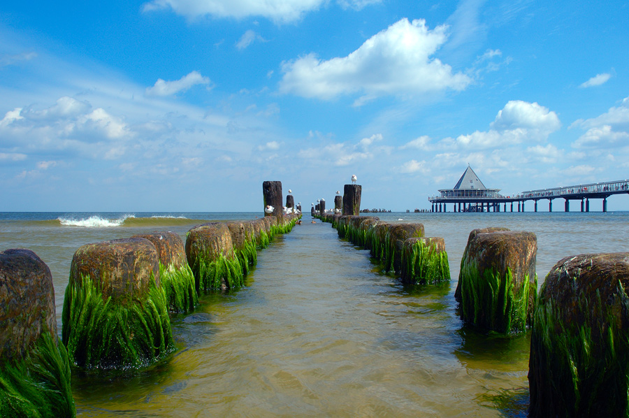 Way to the Ocean ...