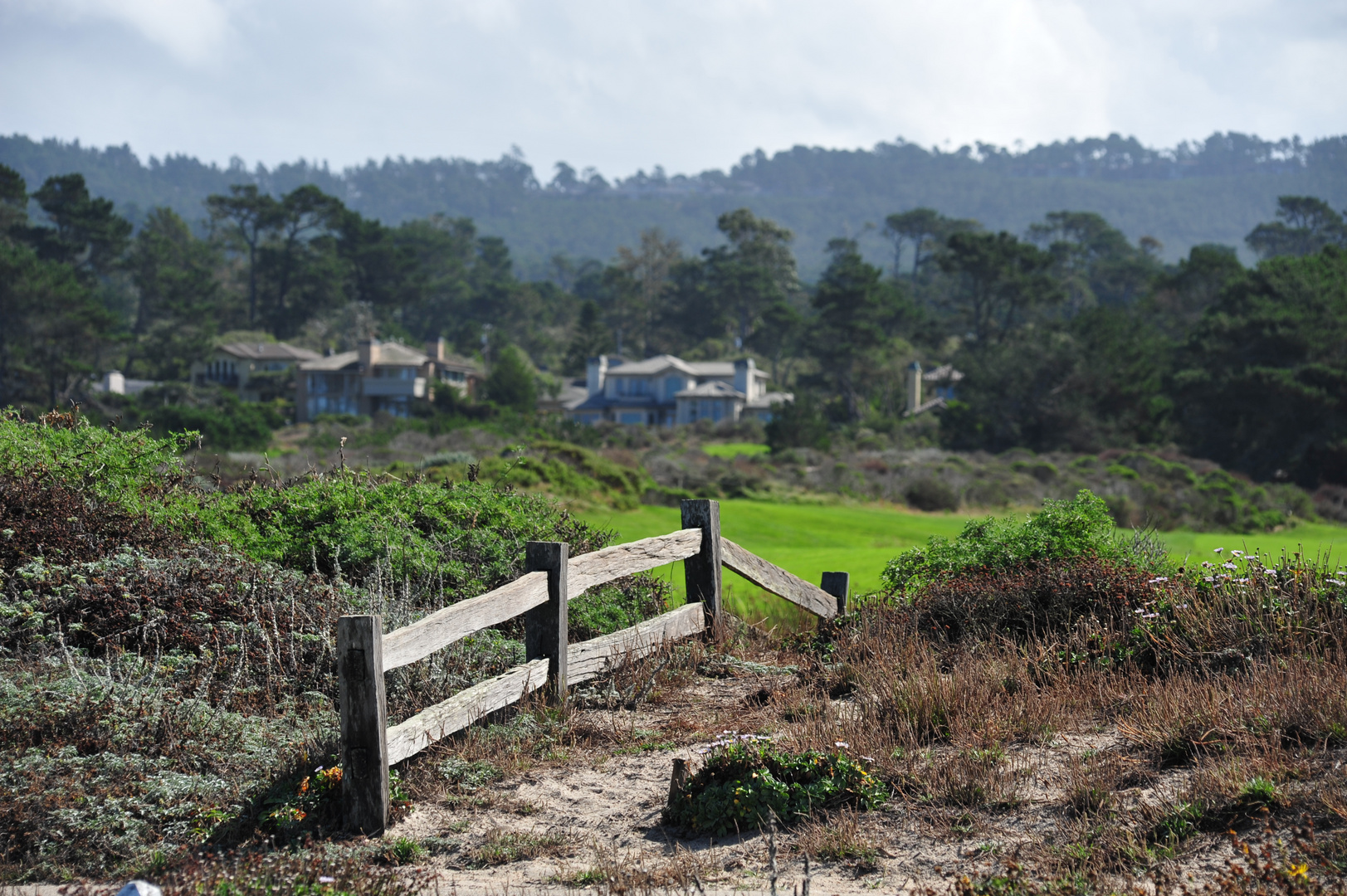 Ways at Pebble Beach