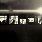 wayward bus
