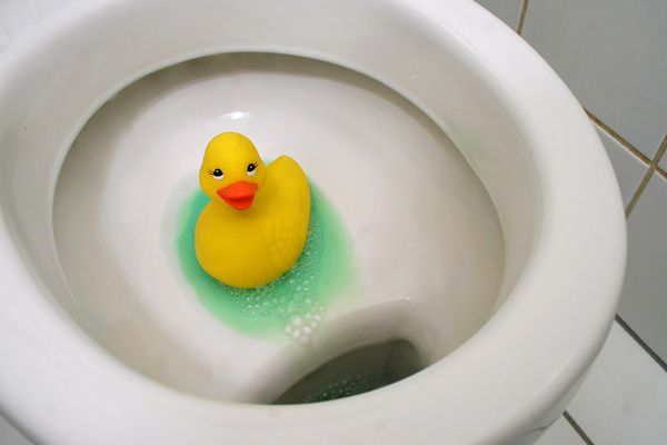 WC-Ente