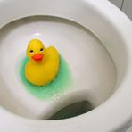 WC-Ente