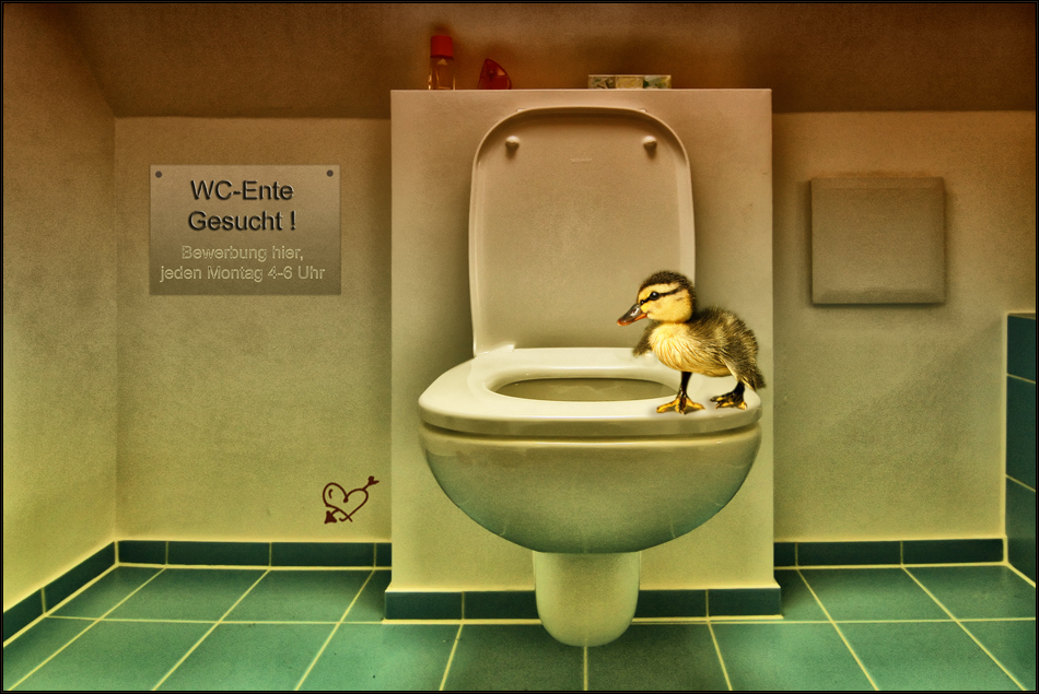 WC - Ente gesucht !