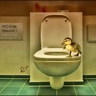 WC - Ente gesucht !