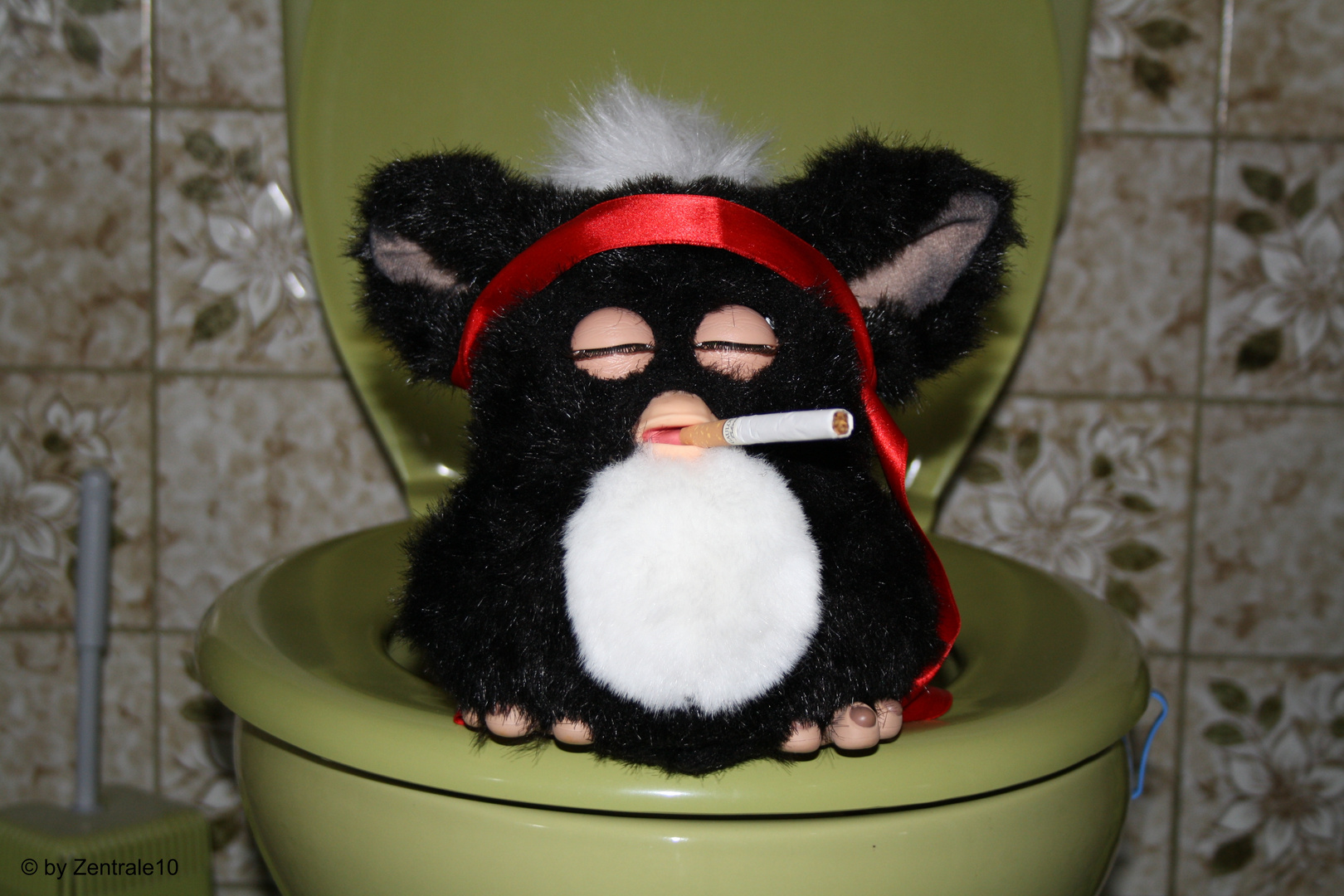 WC Furby