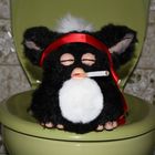 WC Furby