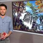 WDR-Lokalzeit 16.10.2020  mit meinem Foto