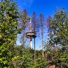 WDR-Sendeturm auf dem Waldberg (Nordhelle)