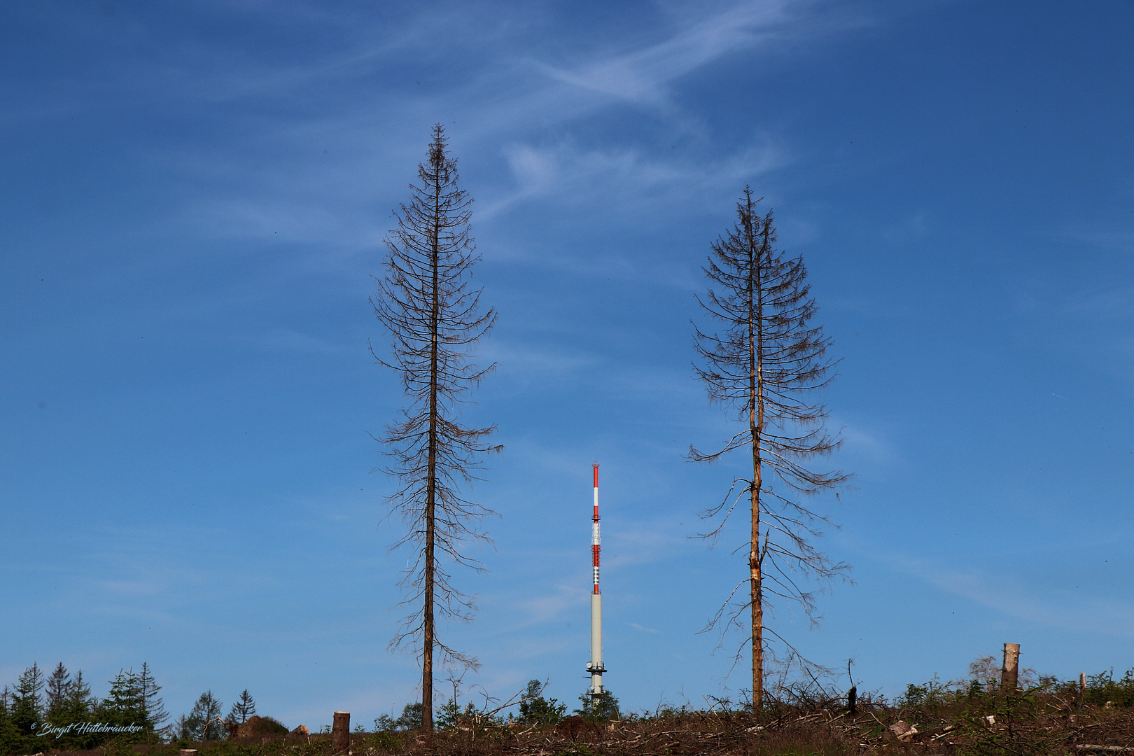 WDR-Sendeturm auf der Nordhelle