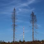 WDR-Sendeturm auf der Nordhelle