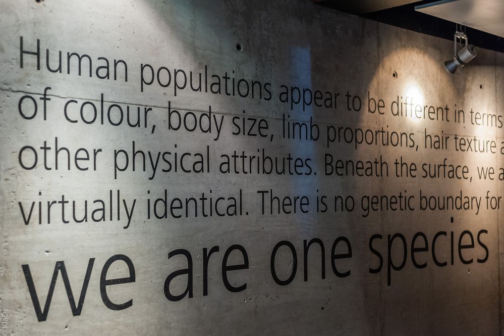 We are one species