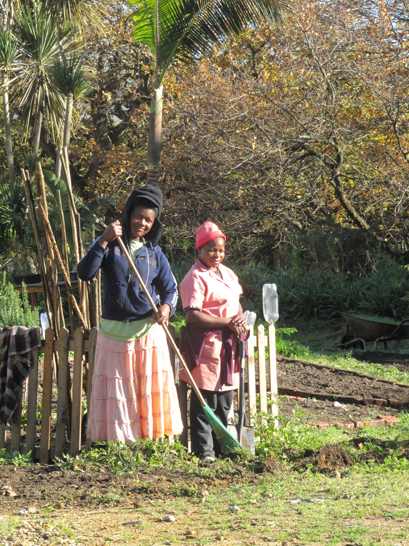 we clean the garden