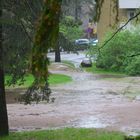 We have a wet weather. The sight out of my window