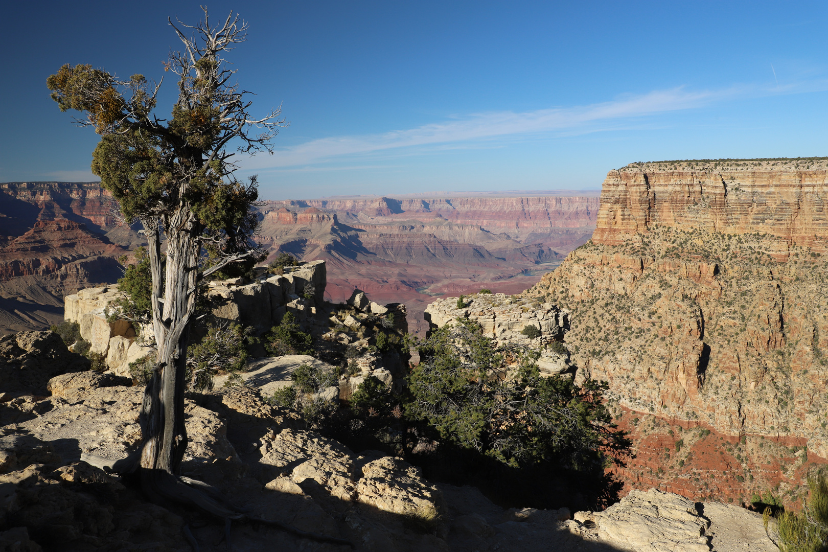 We love it - Grand Canyon