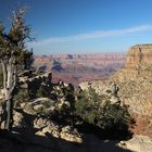 We love it - Grand Canyon