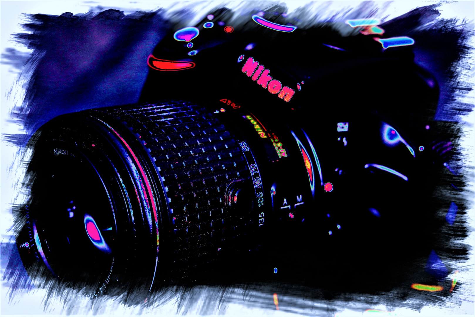 We love Nikon