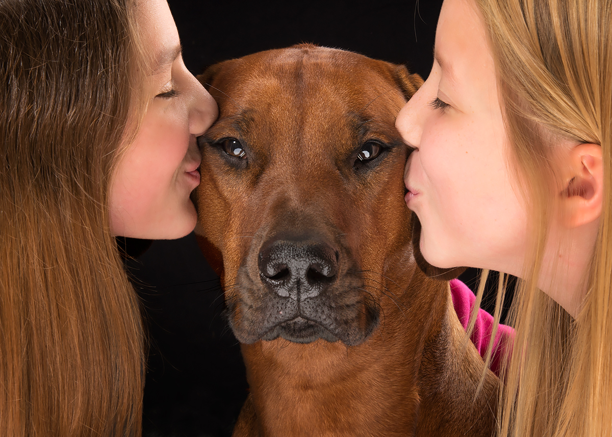 We love our Rhodesian Ridgeback