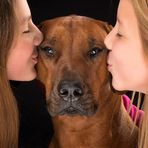 We love our Rhodesian Ridgeback