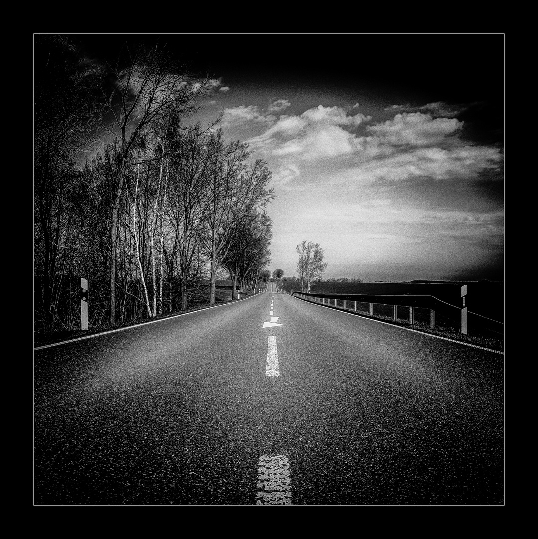 (we `re on)  The Road to Nowhere