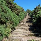 Weathered Stairs