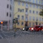 Web and Dew
