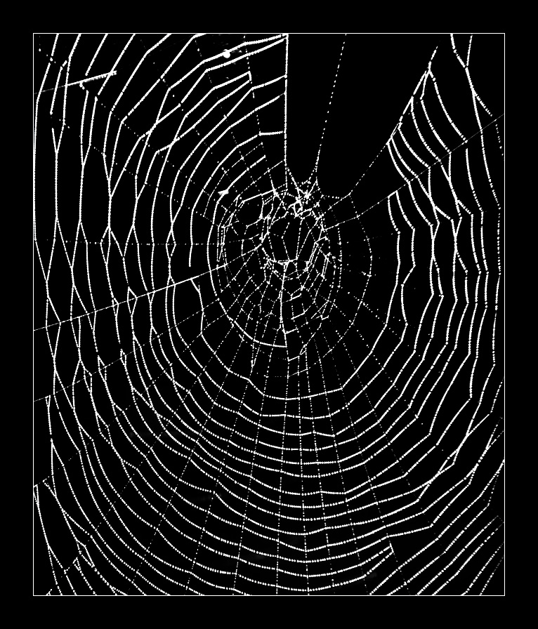 Web