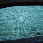 web