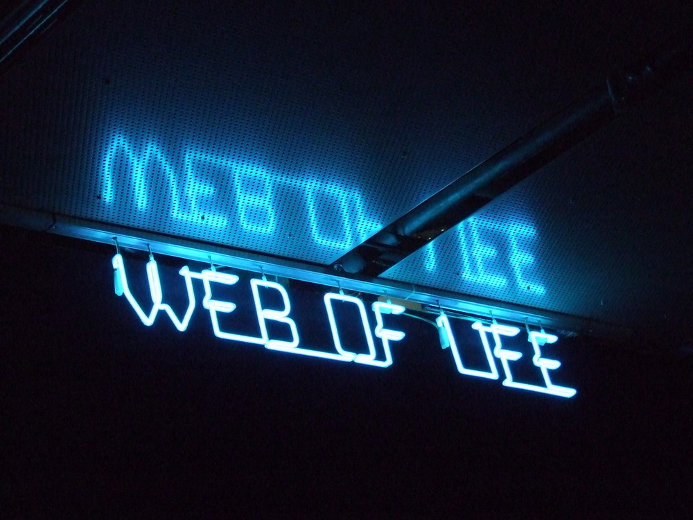 WEB OF LIFE