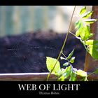 Web of Light