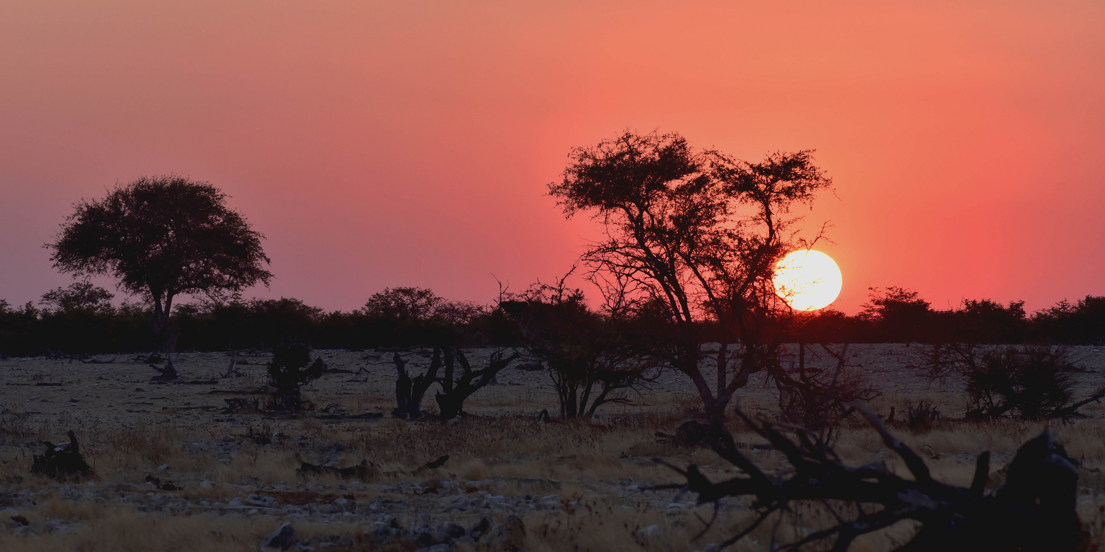 web-sonnenuntergang