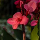 WEB_DSC7404