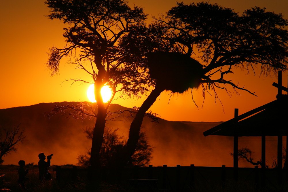 Webernest - Sesriem, Namibia, Naukluftgebirge von Jan Marius Geller 