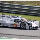 WEC Porsche in der "Double Gauche"