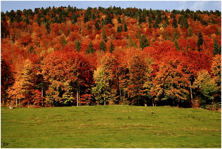 Wechselbad der Farben