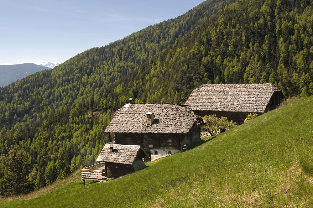 ...  " Wechseleben " ... (Gais - Südtirol)