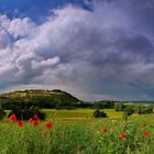 Wechselhaft mit Regenschauer.