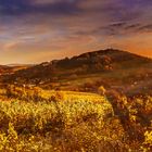 Wechselhafter und trüber Herbsttag im Odenwald 