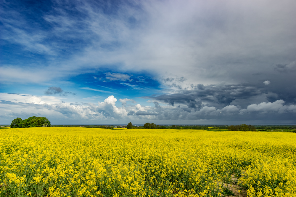 Wechselhaftes Wetter