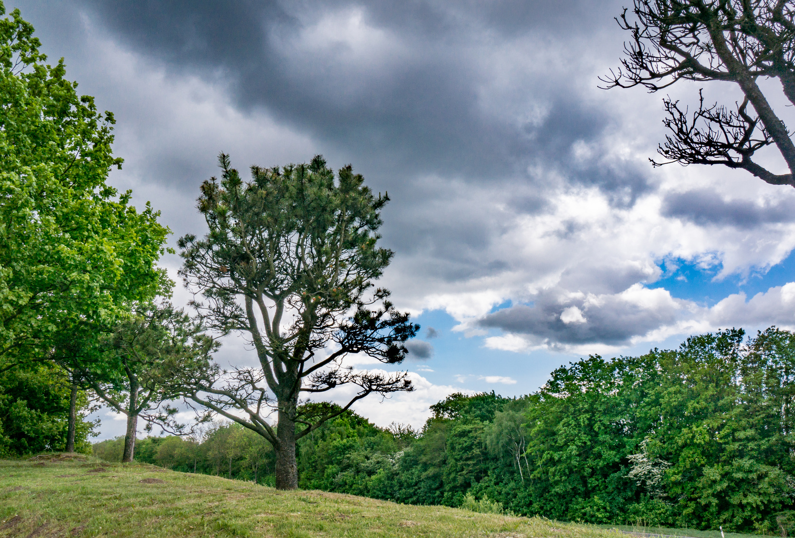 wechselhaftes Wetter II