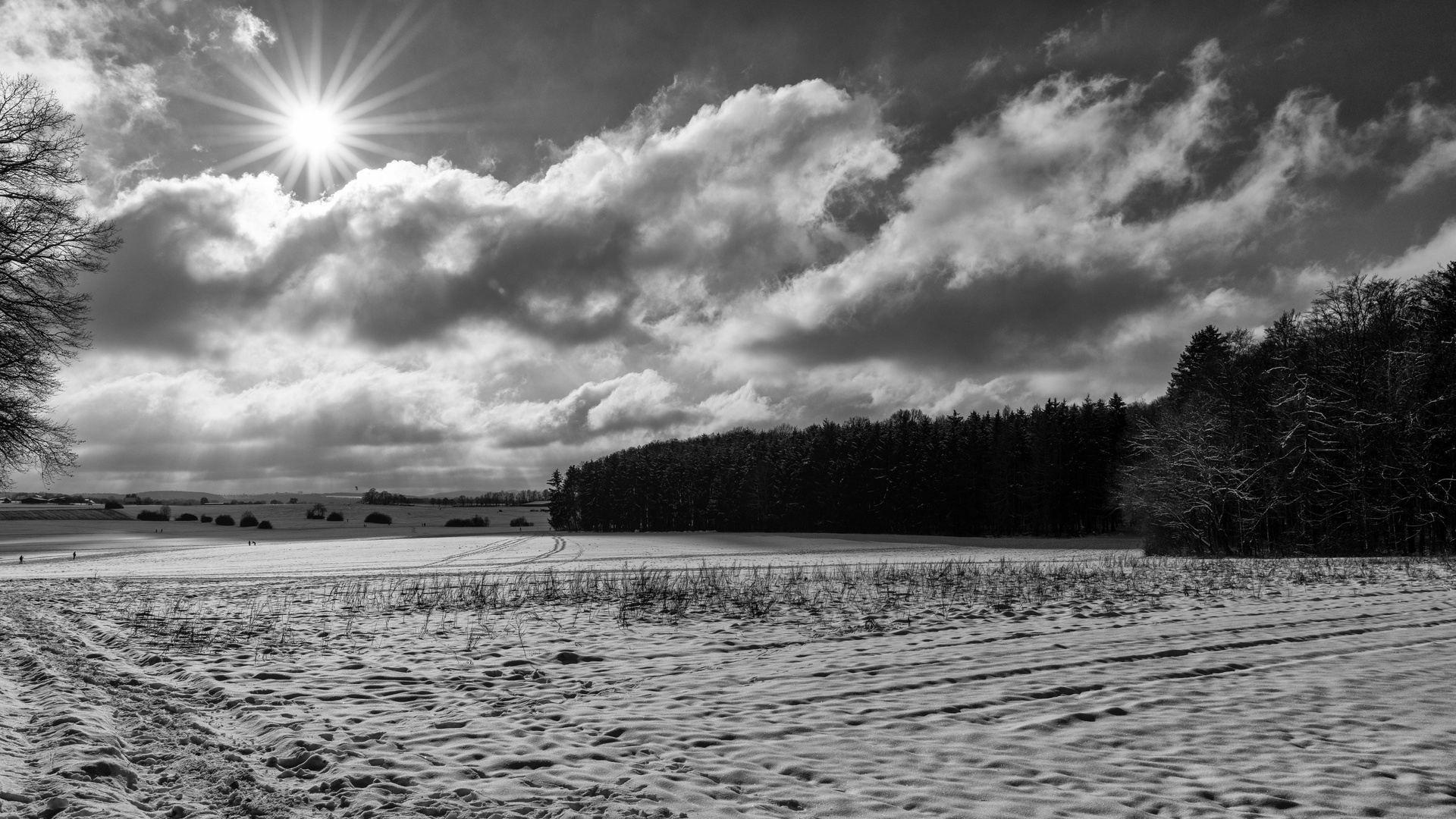 Wechselspiel Licht & Schatten