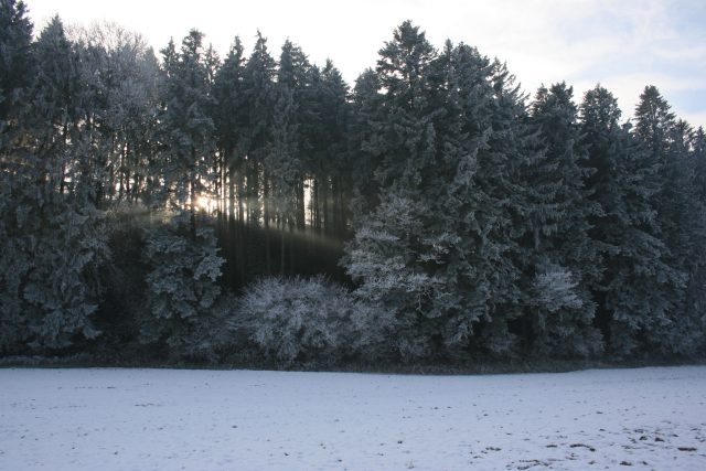 Wechselspiel - Rauhreif und Sonnenlicht